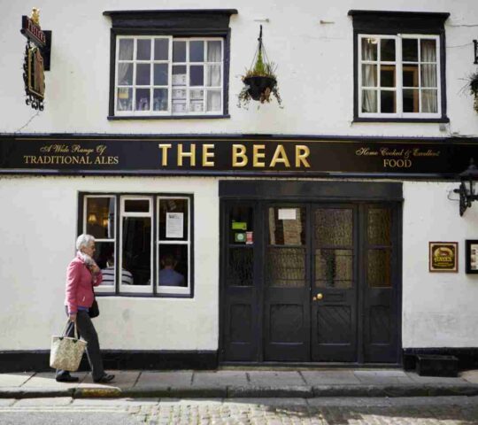 The Bear