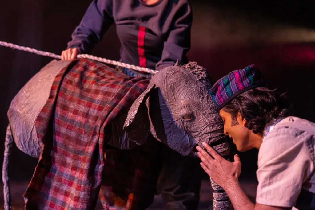 The Vanishing Elephant